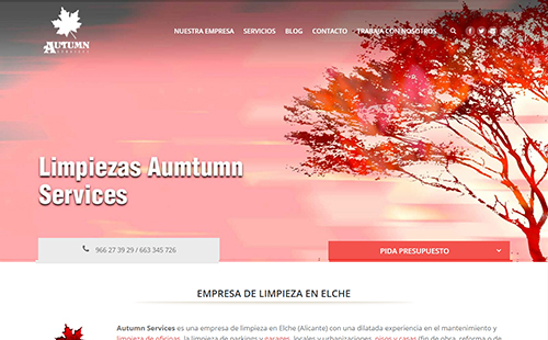 Limpieza Autumn